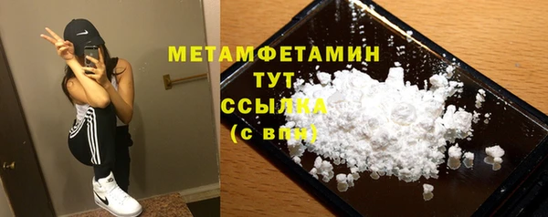 прущие крисы Ельня