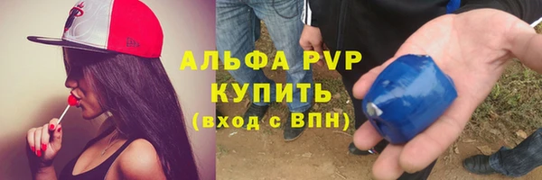 стафф Елизово