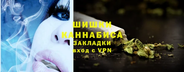 стафф Елизово