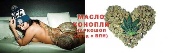 прущие крисы Ельня