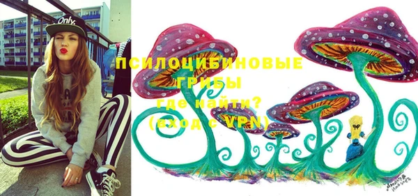 стафф Елизово