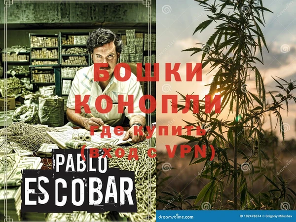 стафф Елизово