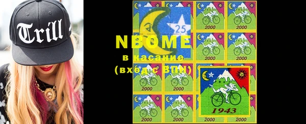 прущие крисы Ельня