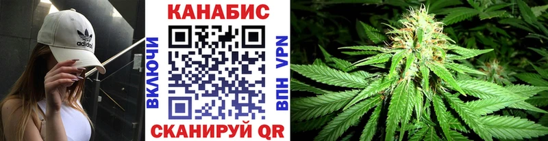 Канабис White Widow  как найти   Радужный 